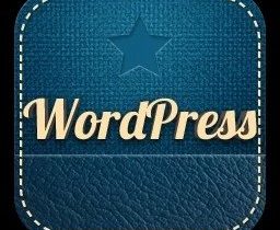 你发现利用WordPress疯狂创富月入过万的商机了吗？